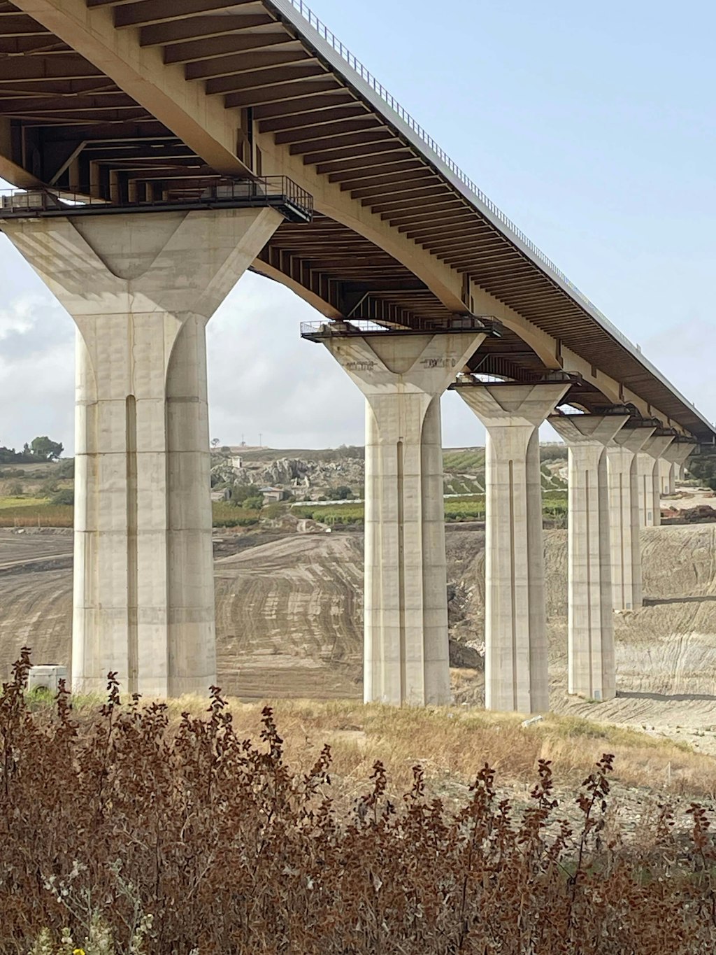 Figure 4. Slab intrados—the under faces of the arch—and the parabolic profile of span girders.