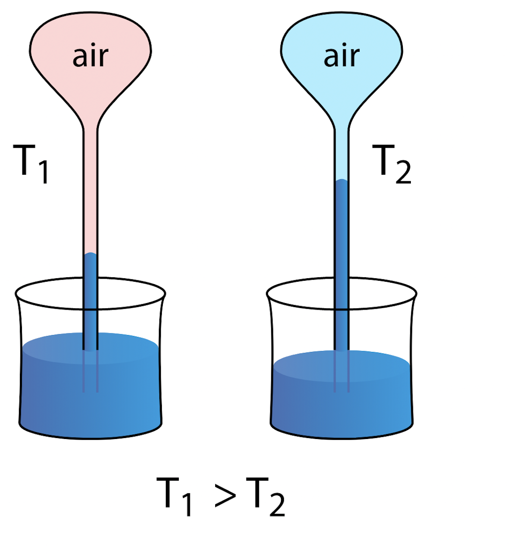 Pucicu, CC BY-SA 4.0 qua Wikimedia Commons