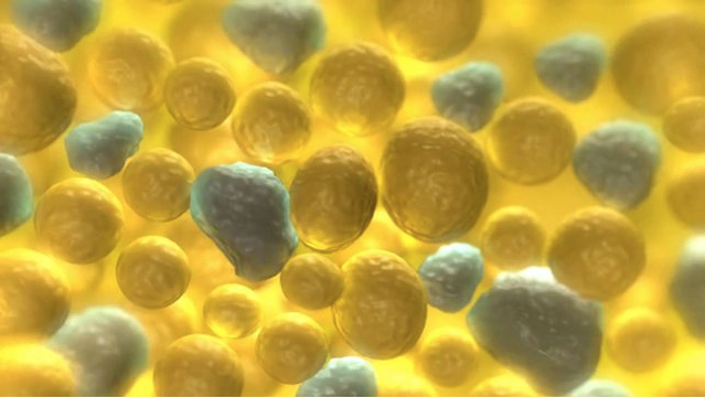 Graphic of Yellow and Blue Cells
