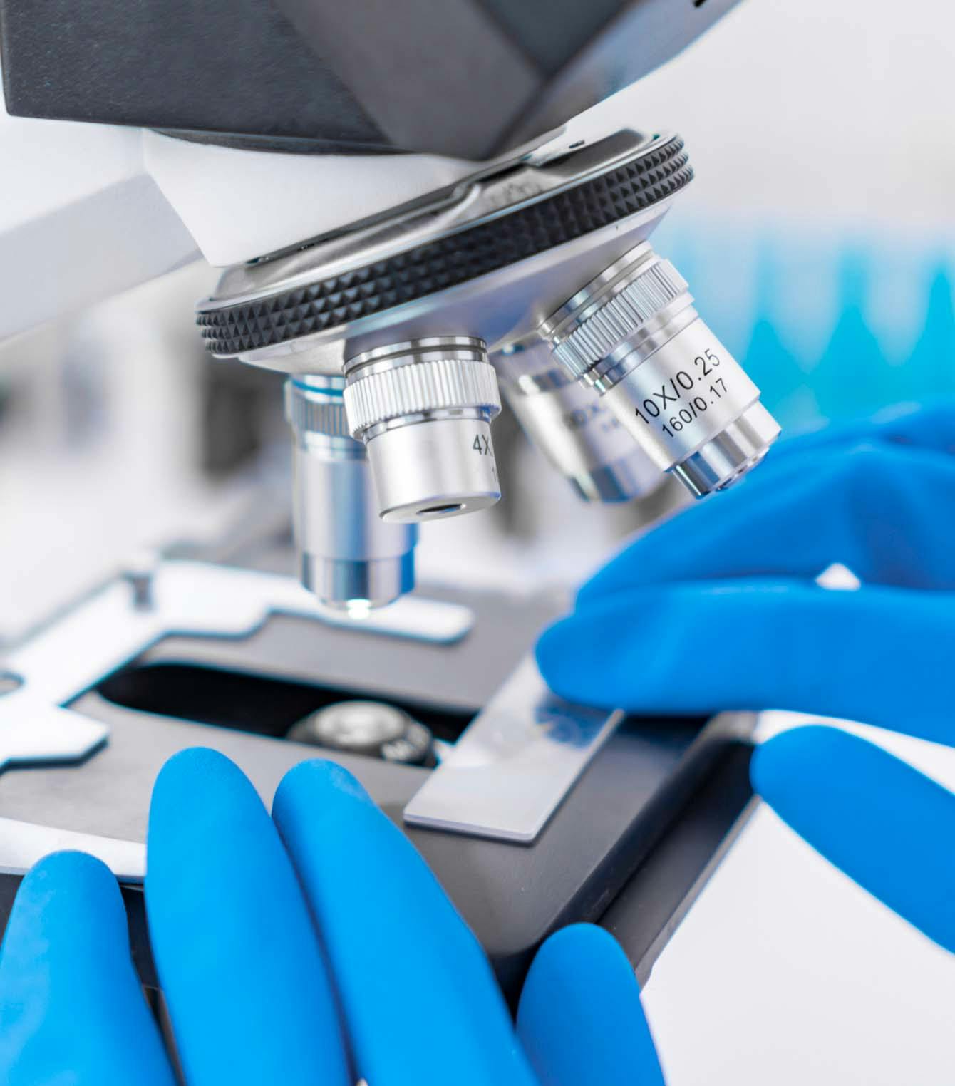 Modern Women's Health Gynecology & Aesthetics