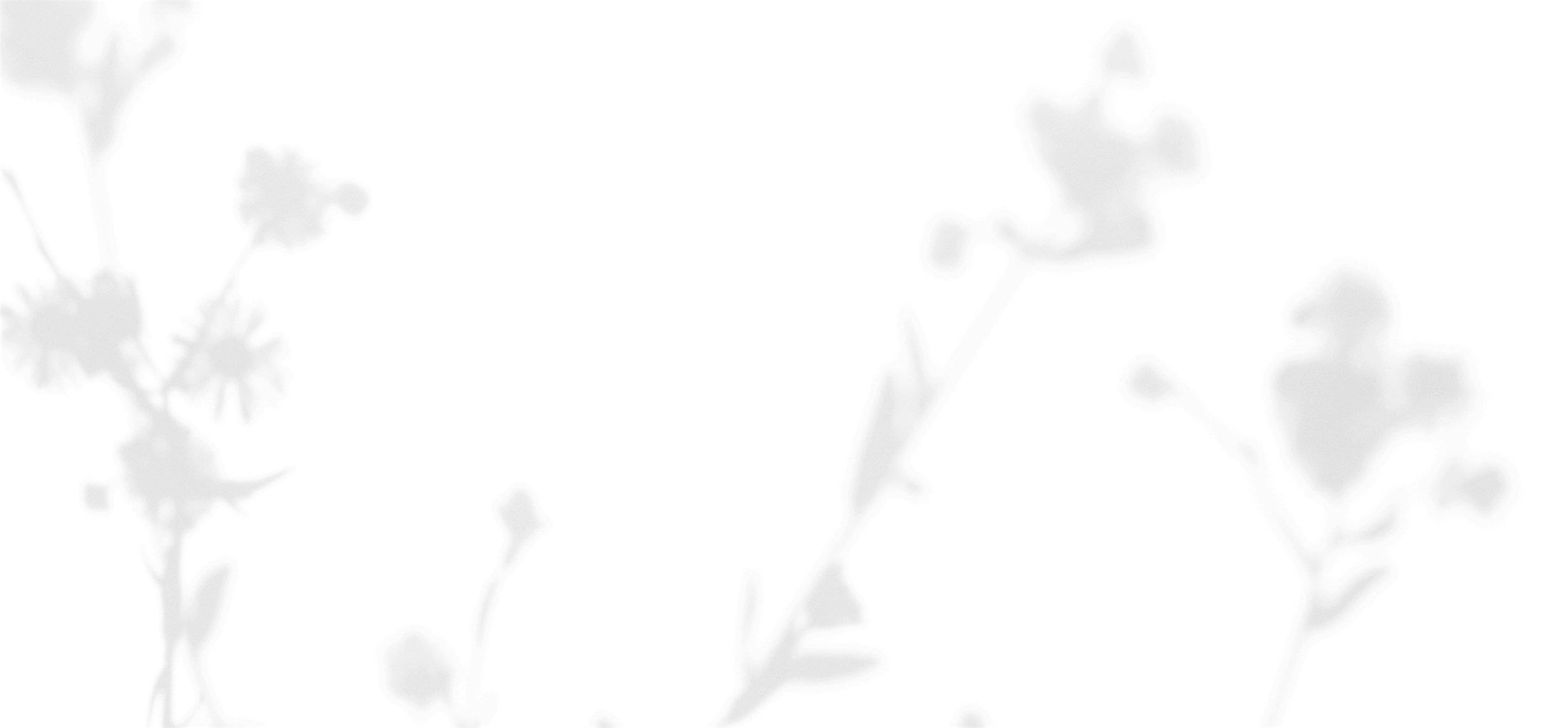Banner media