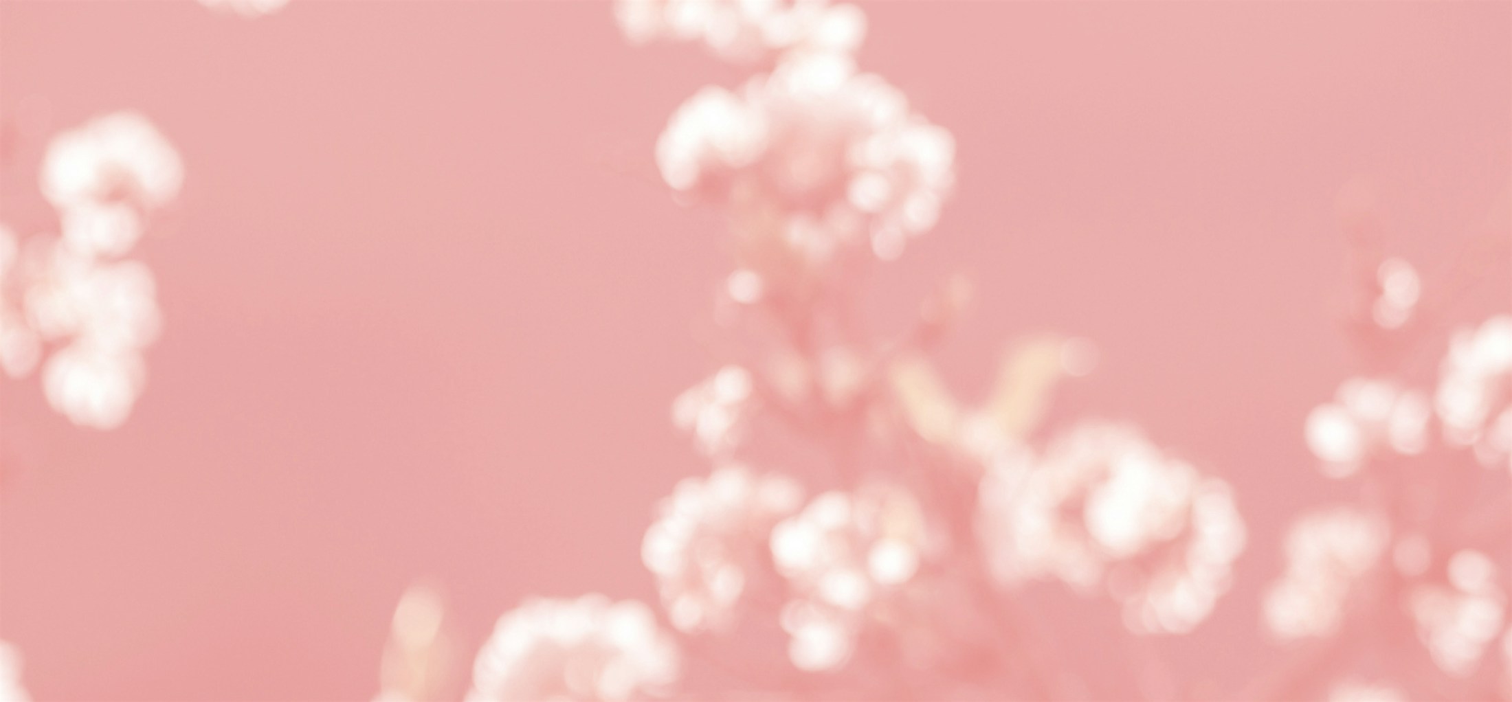 Banner media