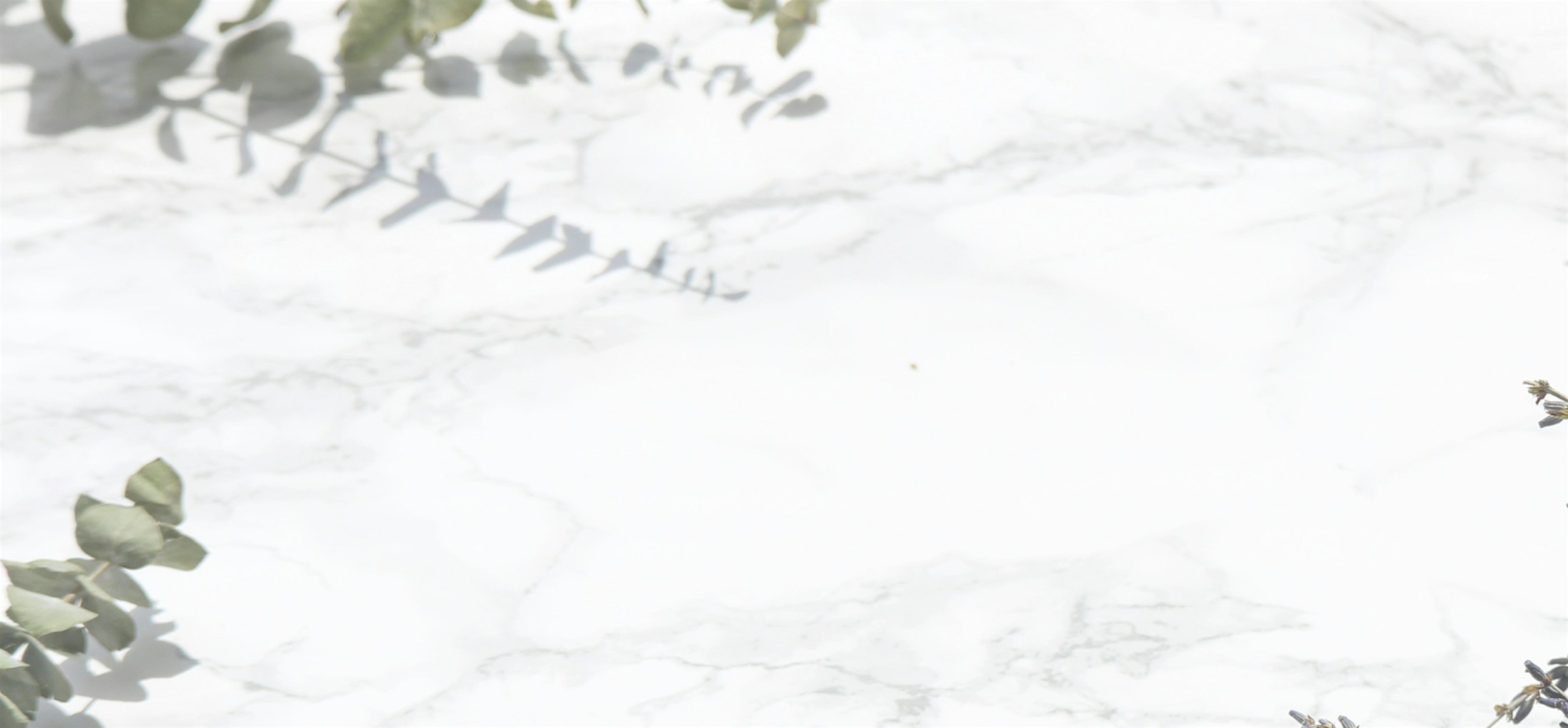 Banner media