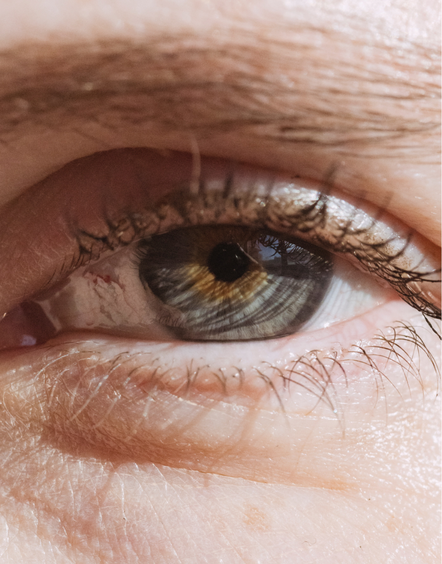 eye