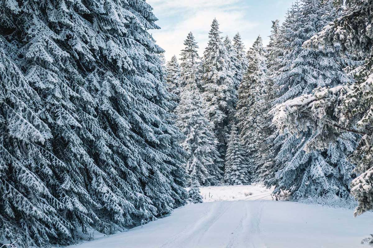 Wander Lake Tahoe Luxury Vacation Rentals