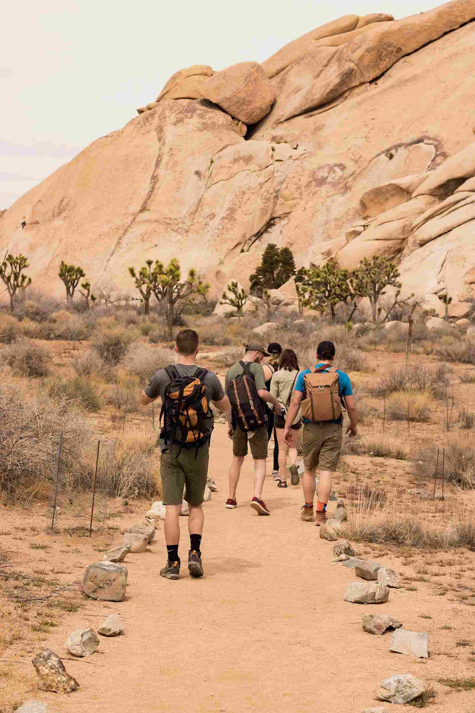 Wander Joshua Tree luxury vacation rentals