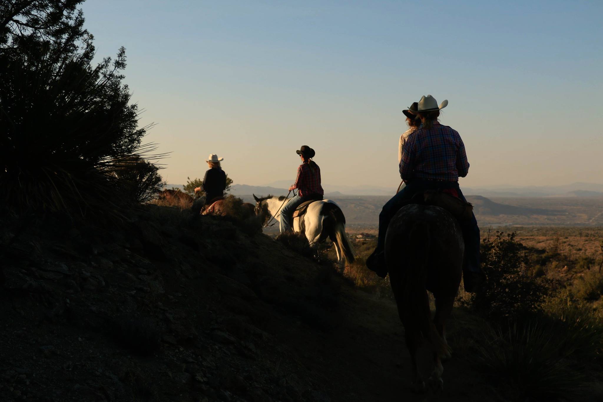 Wander Joshua Tree luxury vacation rentals
