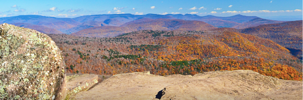Wander luxury vacation rentals