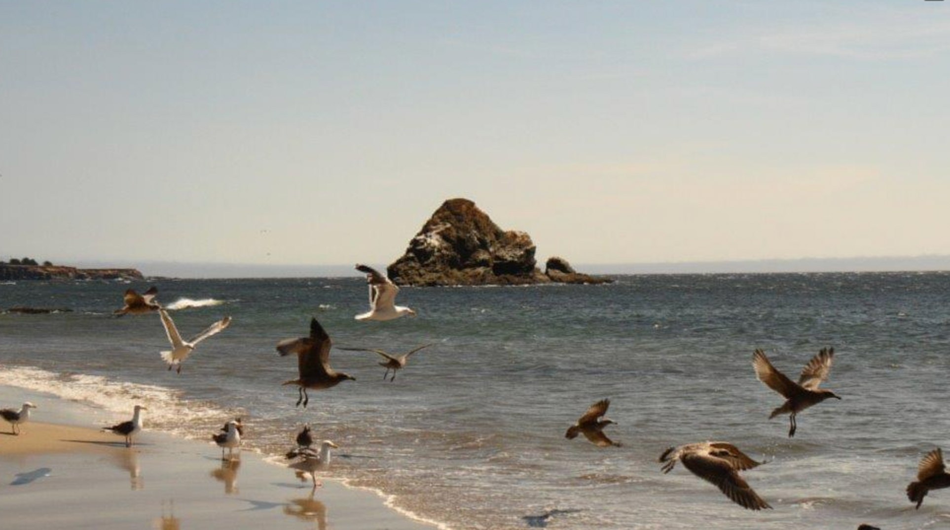 Wander beach vacation rentals