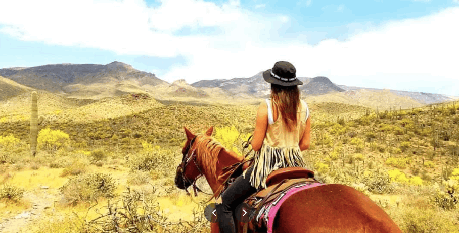 Luxury Vacation Rentals