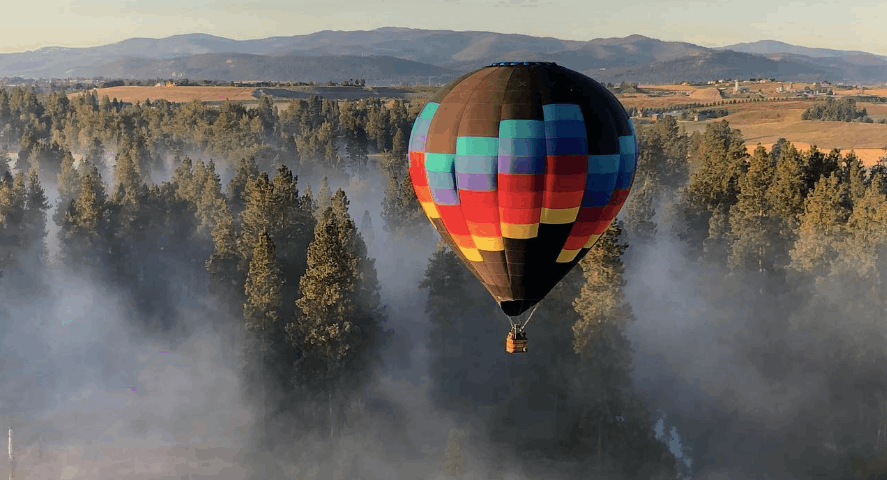 Luxury Vacation Rentals