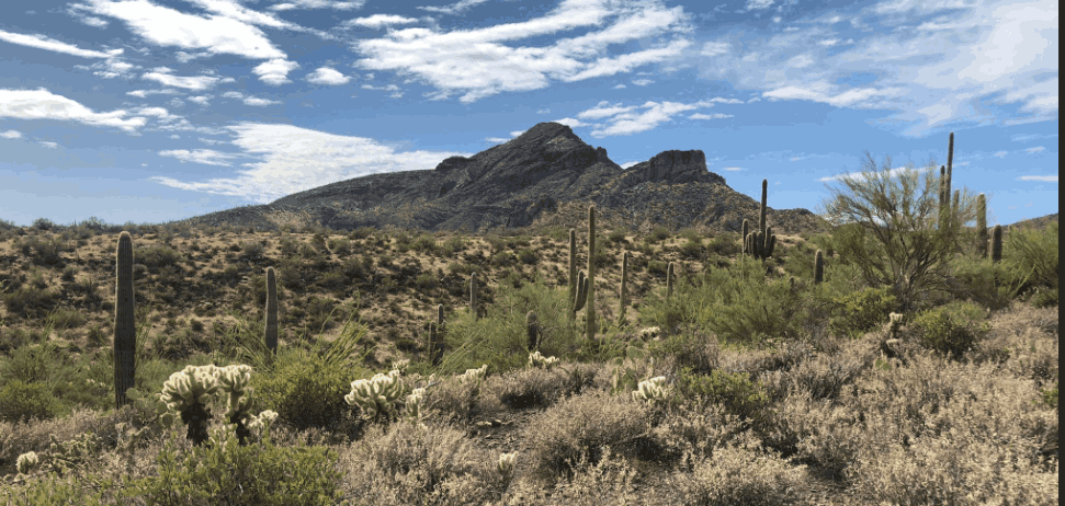 Luxury Vacation Rentals