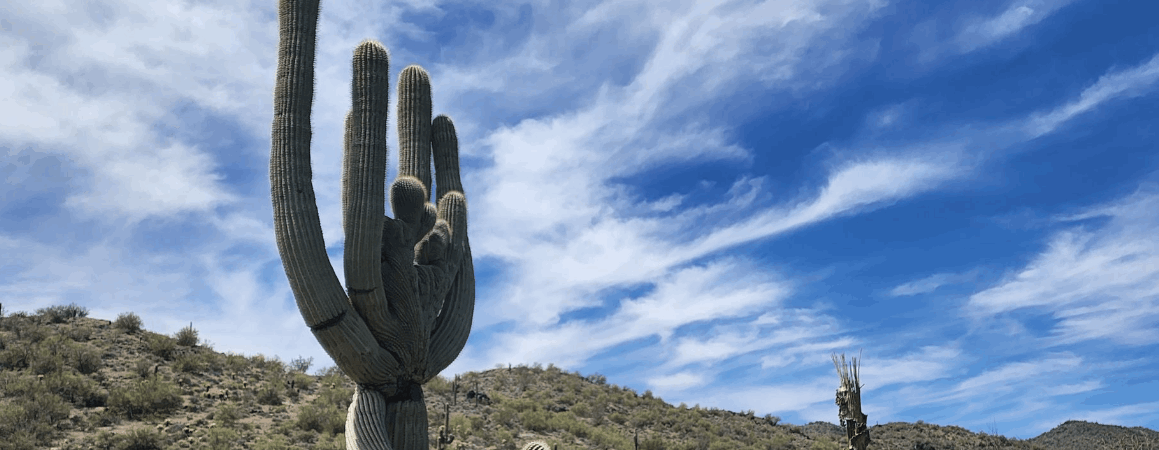 Luxury Vacation Rentals