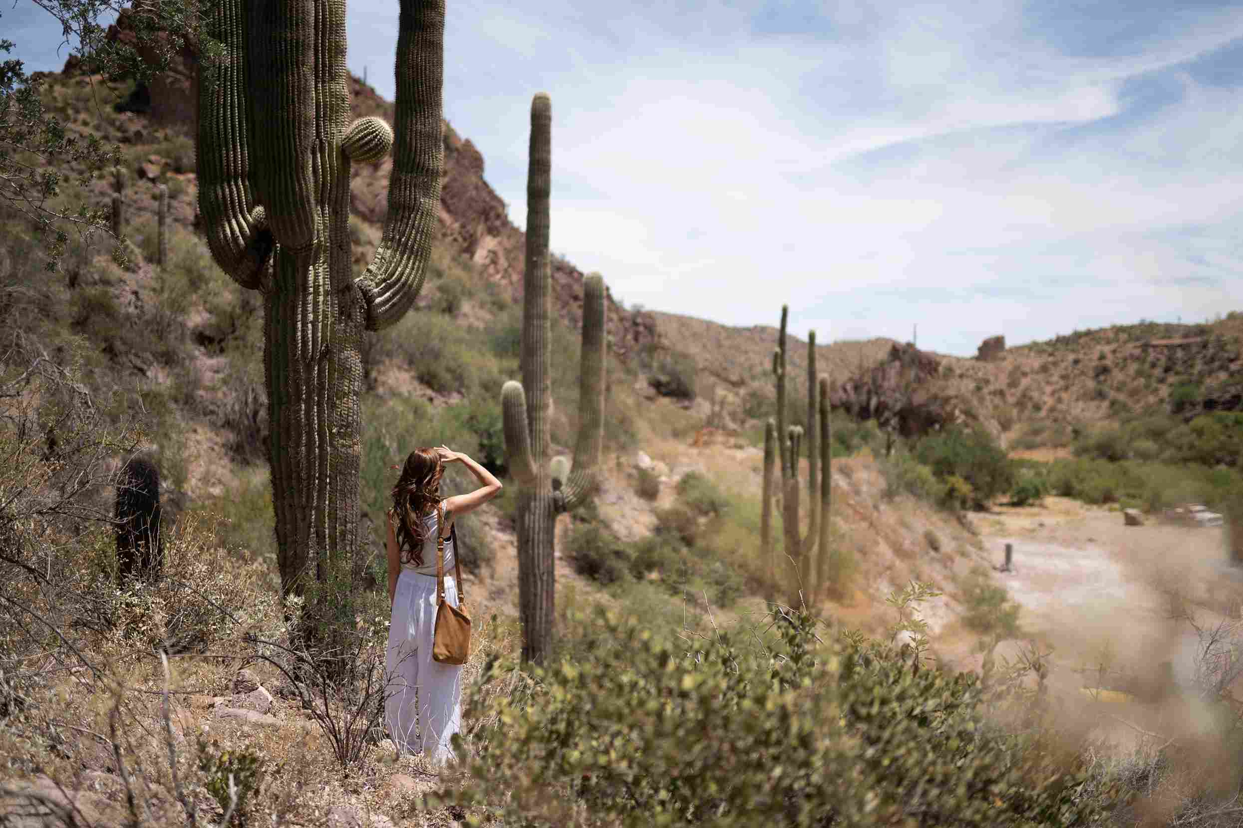 Image showcasing Wander Blog | Luxury Vacation Rentals