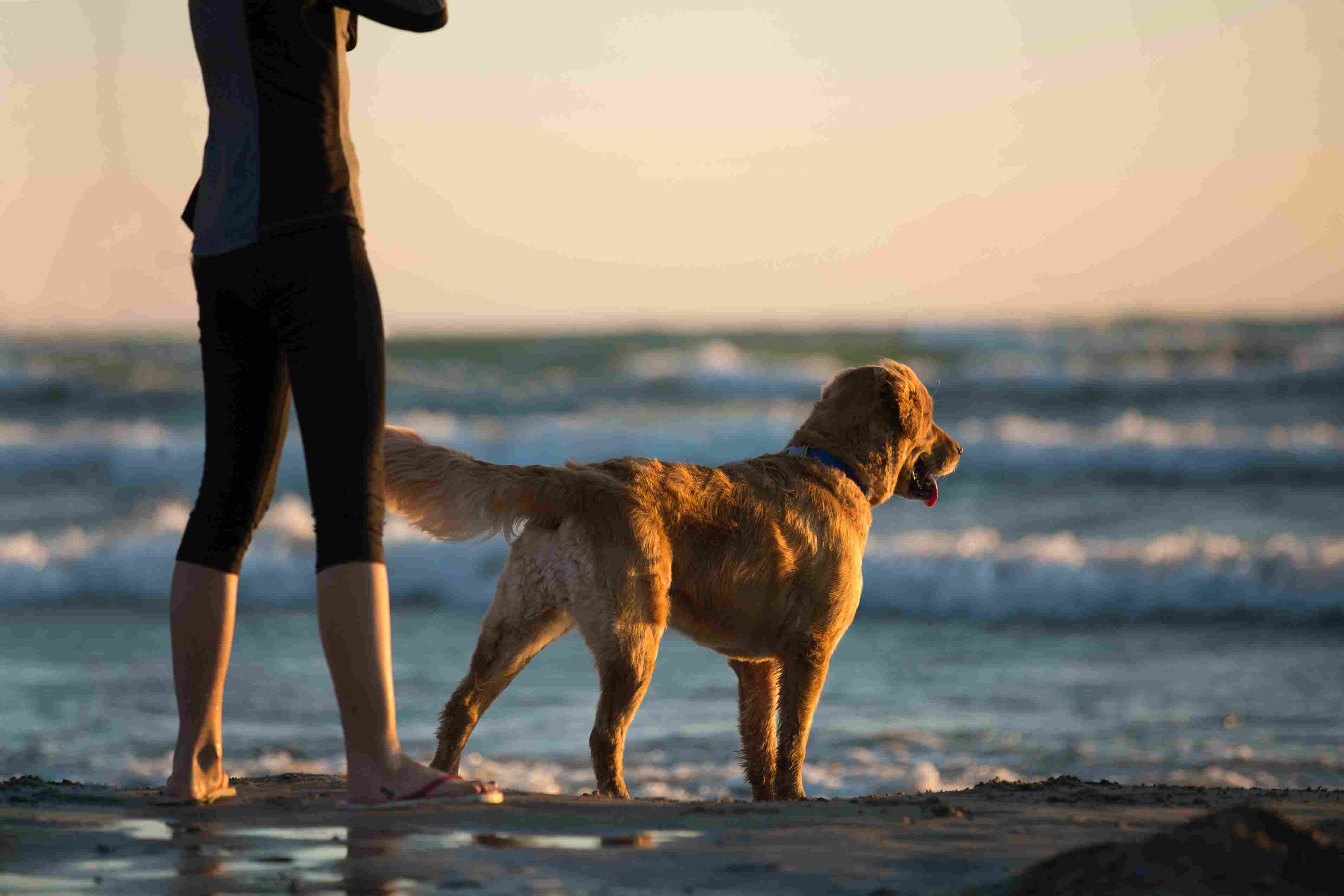 Wander Bandon Beach Luxury Vacation Rental
