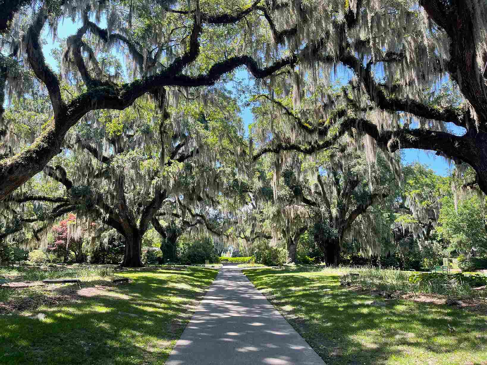 myrtle beach vacation rentals