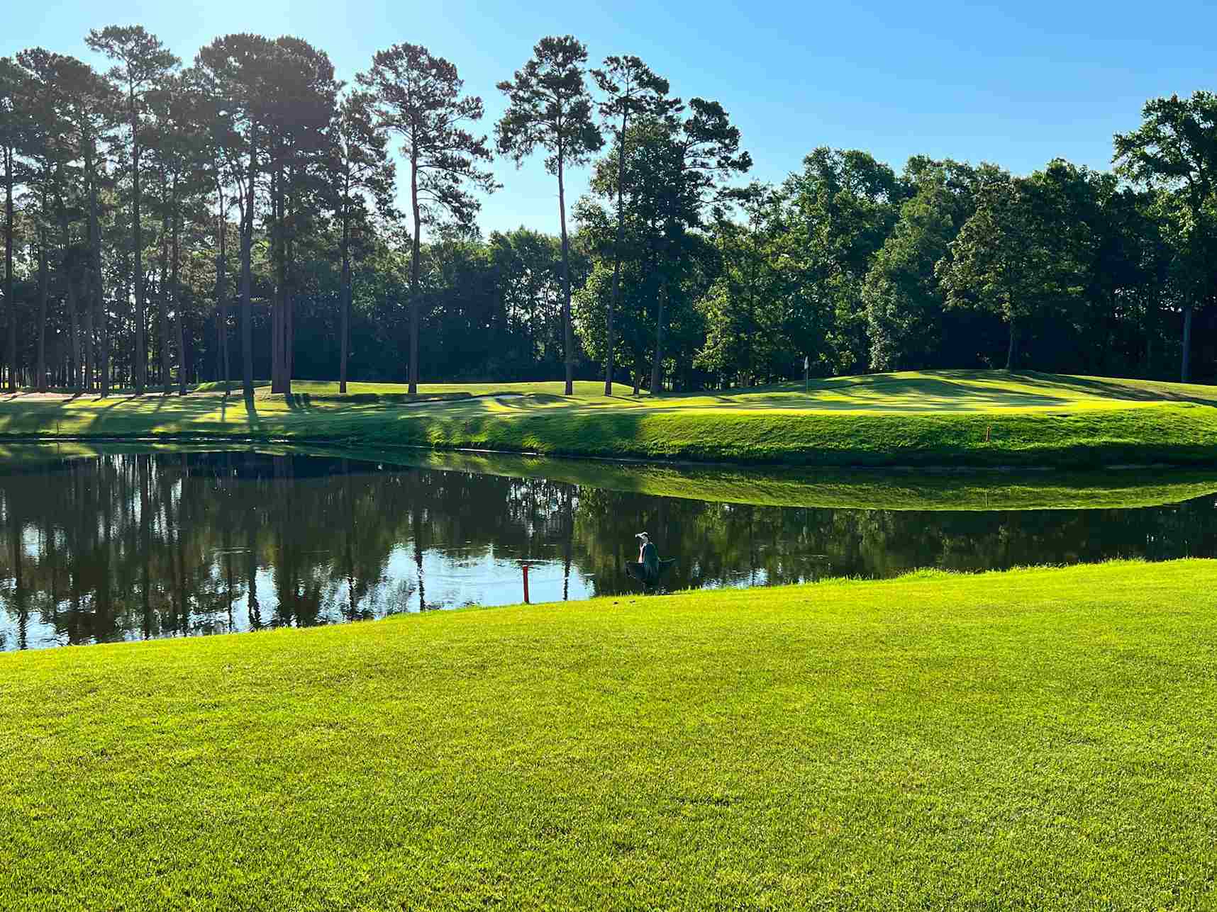 myrtle beach vacation rentals