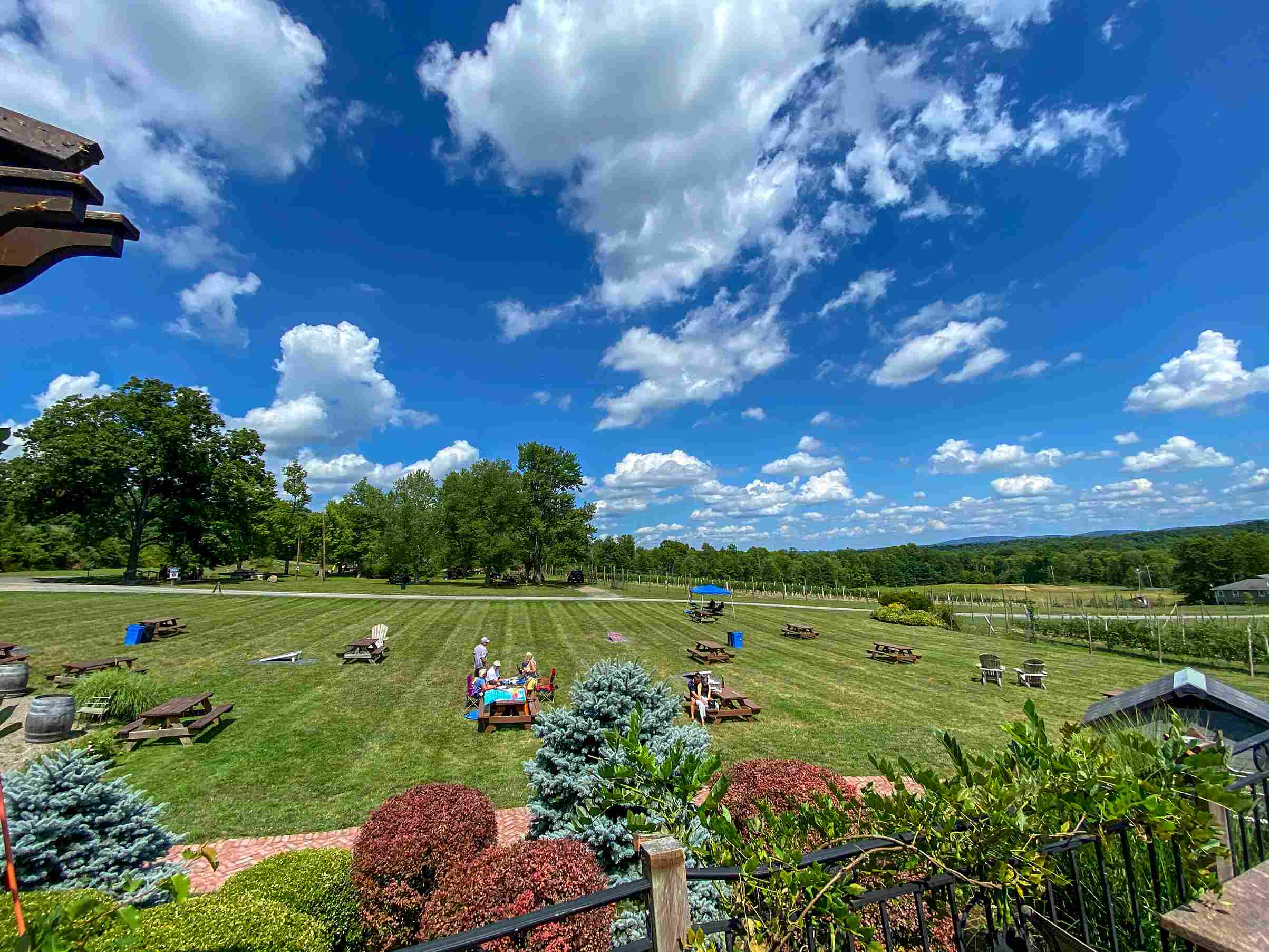 New York Vacation Rentals Pets
