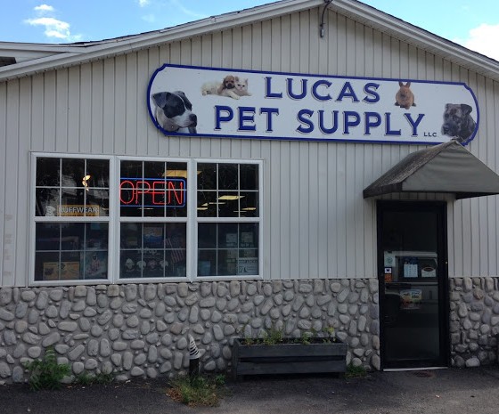 New York Vacation Rentals Pets