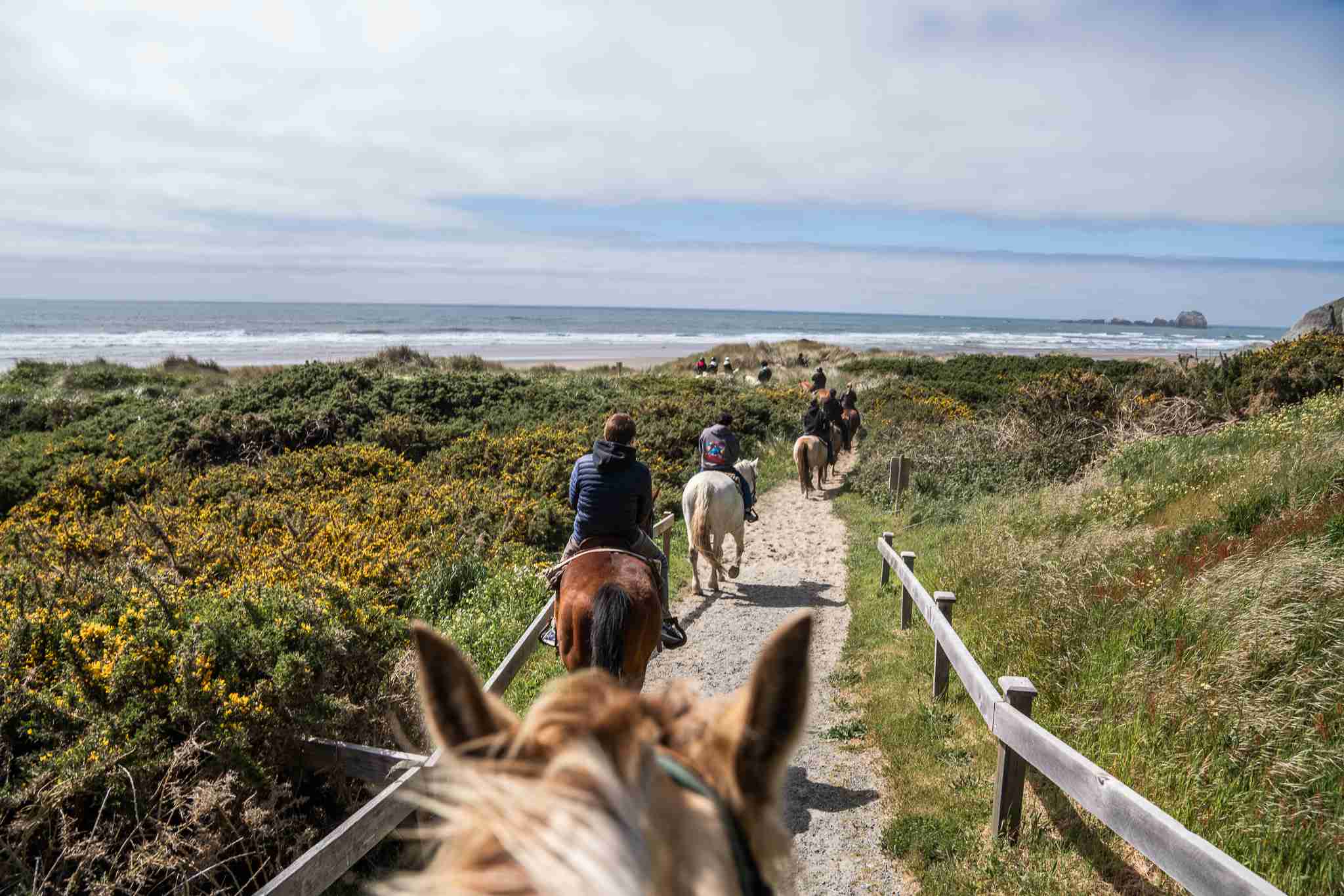 Bandon Beach Riding Stables