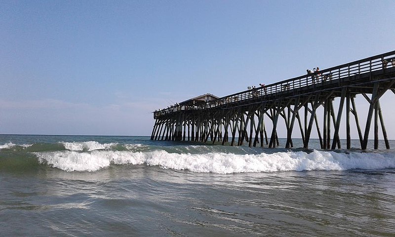 Myrtle Beach Vacation Rentals Pets