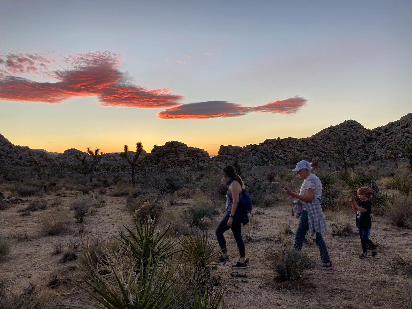 Joshua Tree Excursions