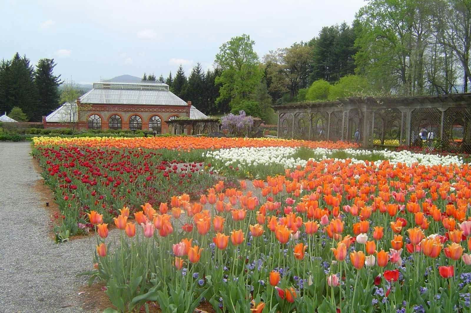Biltmore Estate, Asheville