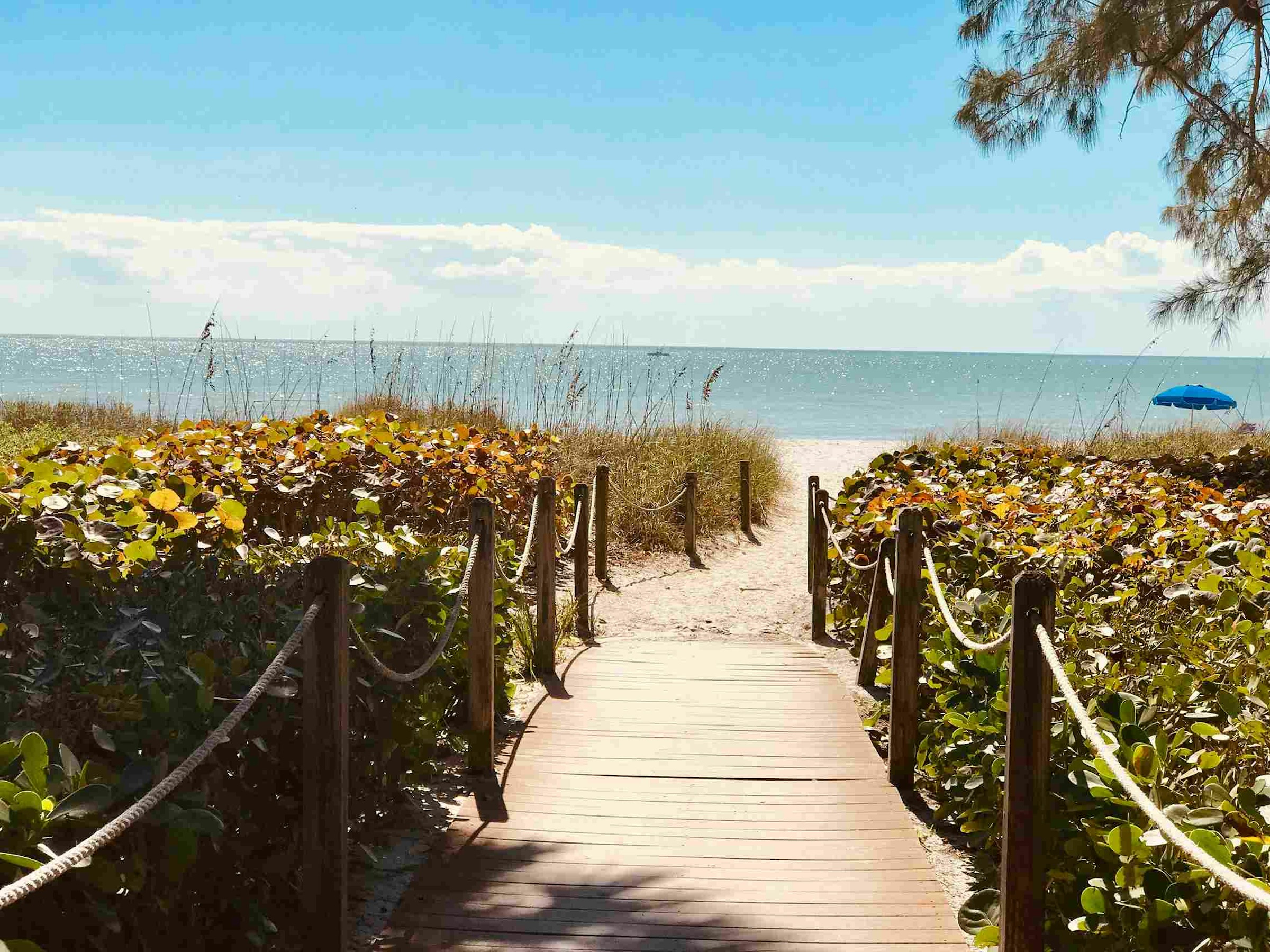 Luxury Vacation Rentals in Jacksonville