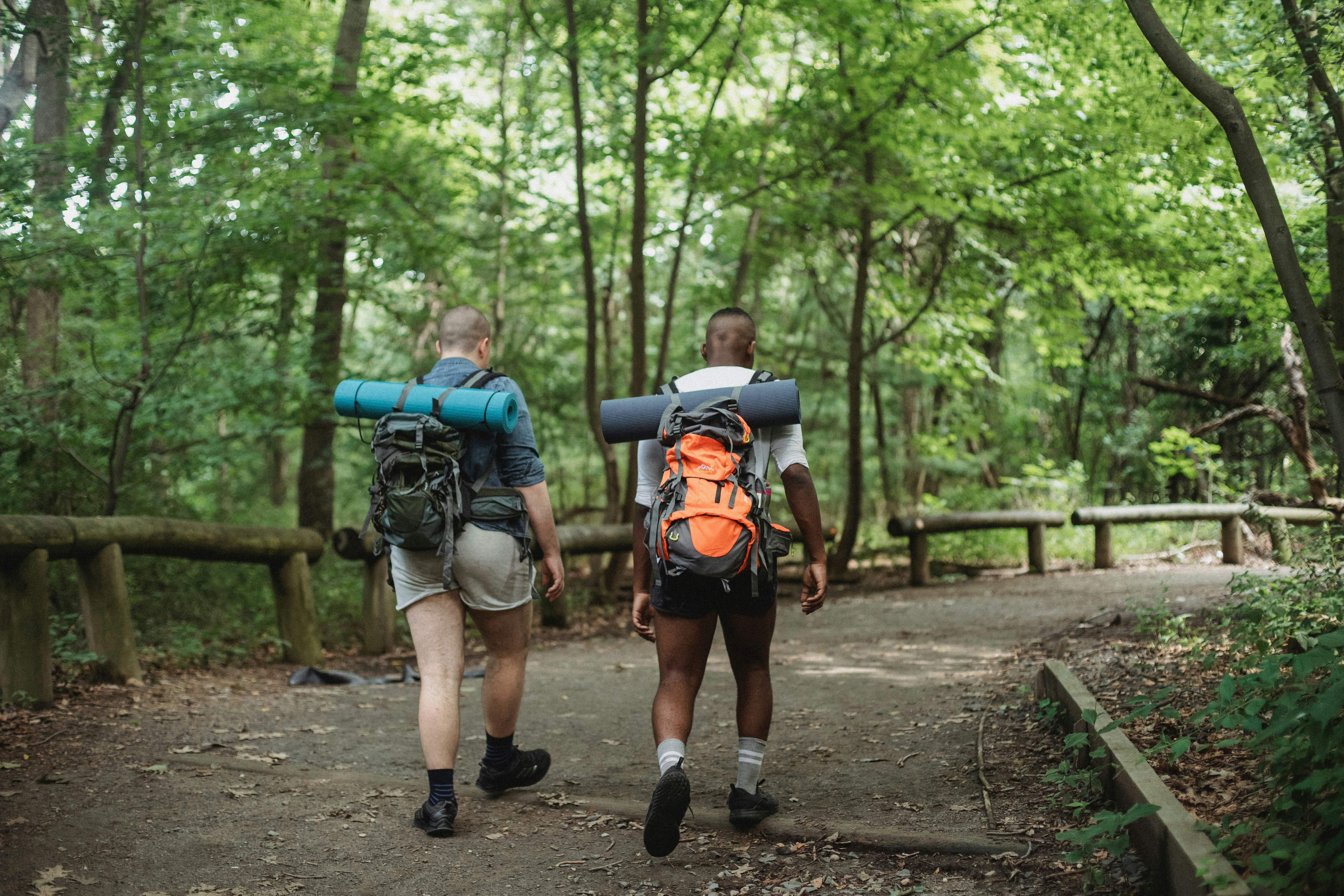 Image courtesy of pexels.com