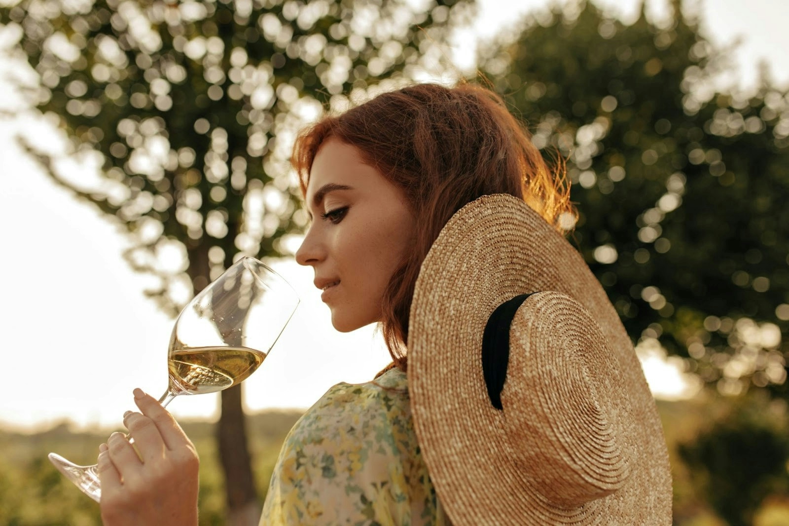 Best Wineries in Northern Virginia