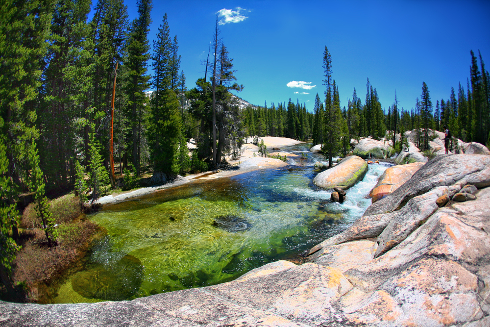 River flowing through rocks in a forest on a sunny day in Yosemite National Park.
