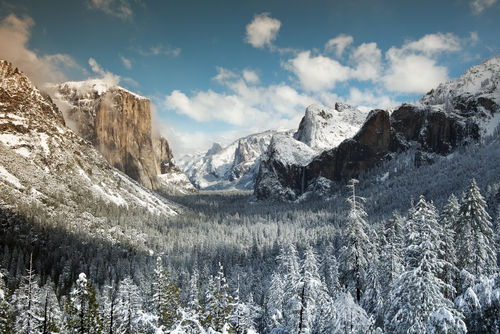 Mountains and a forest covered in snow.