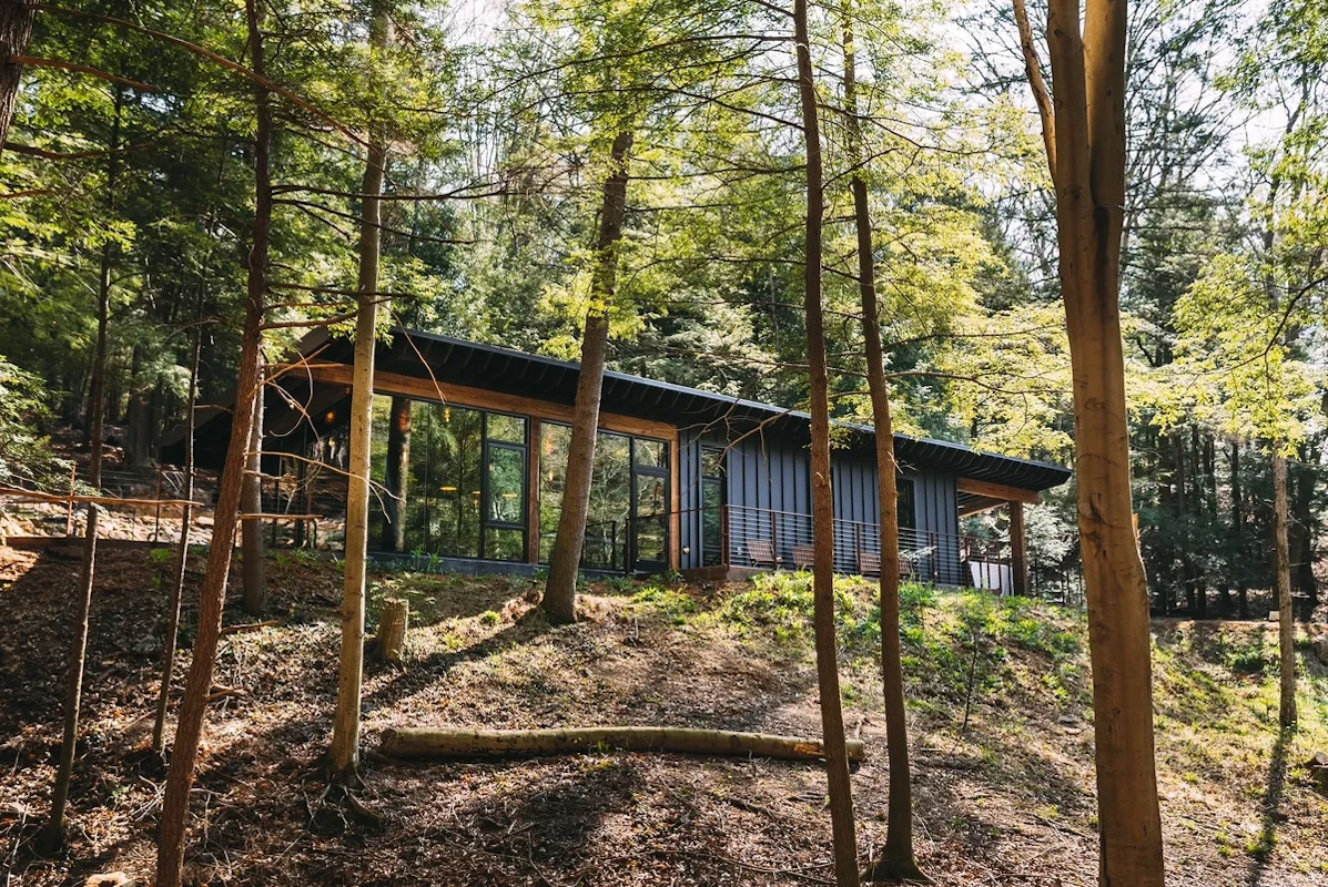 Discover more of South Bloomingville