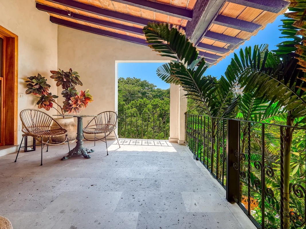 Discover more pet-friendly spots in Puerto Vallarta