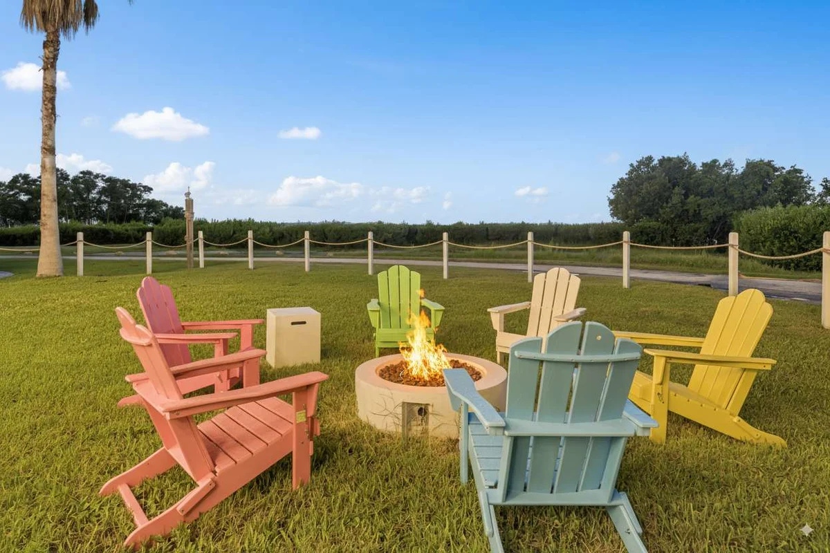 Discover more family fun in Palm Harbor