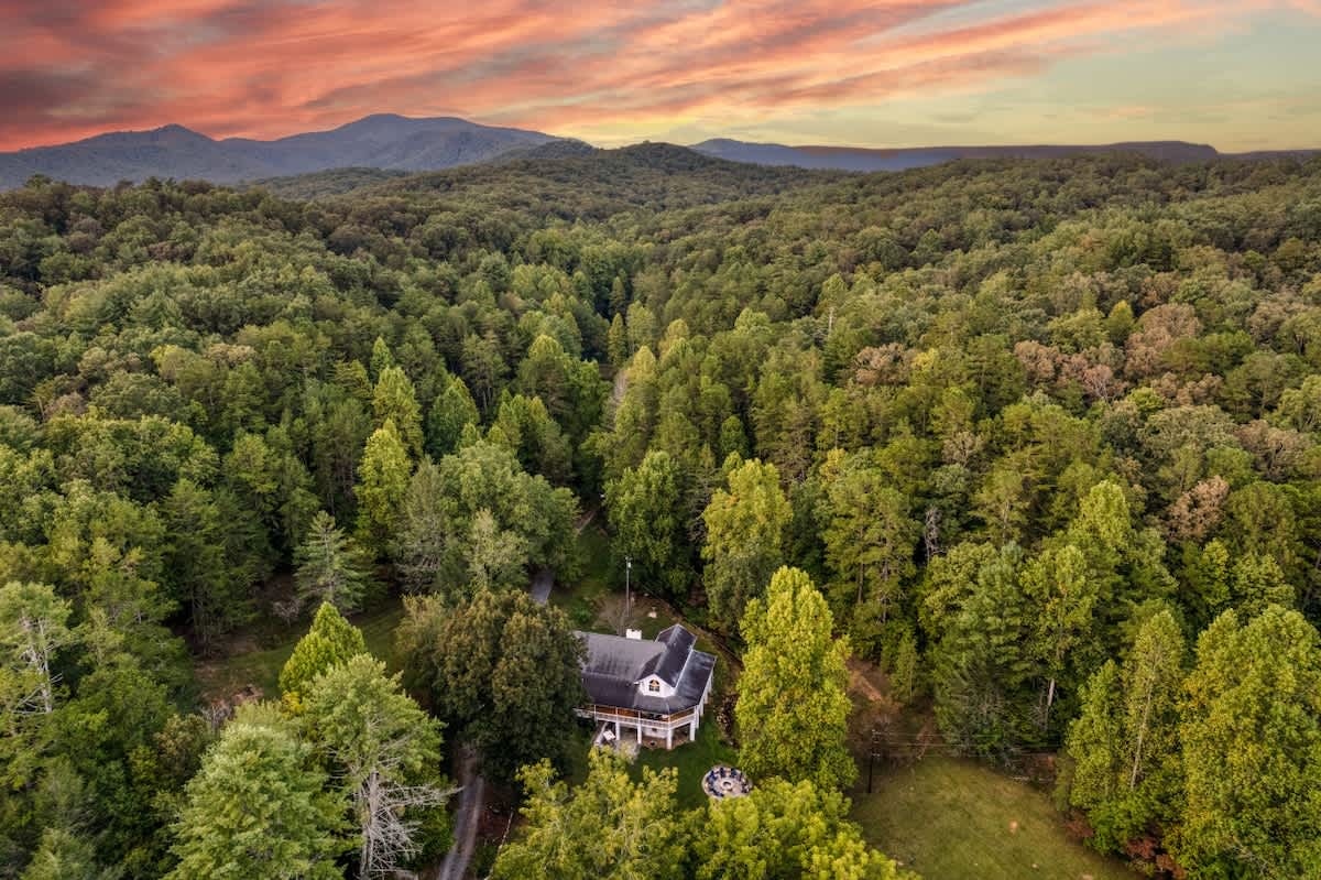 Discover more pet-friendly spots in Ellijay