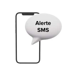 alerte sms