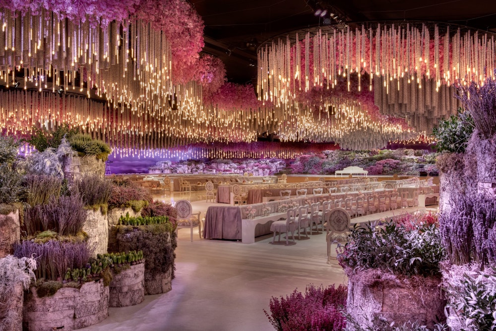 Wander | Designlab Experience