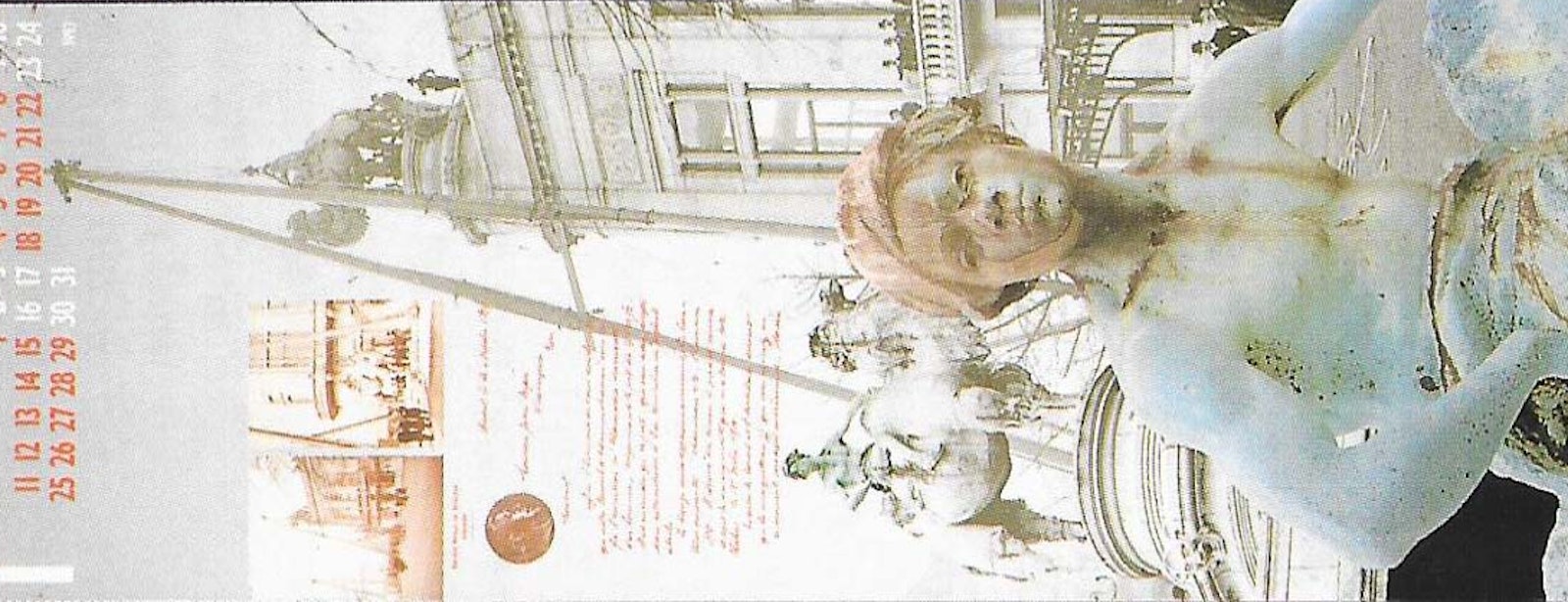 Kalender 'Een Eeuw Monumentale Diersculpturen' (i.s.m. Carl Cruysberghs), Fotogravure De Schutter, Antwerpen, 1993, 100 x 34,5 cm  