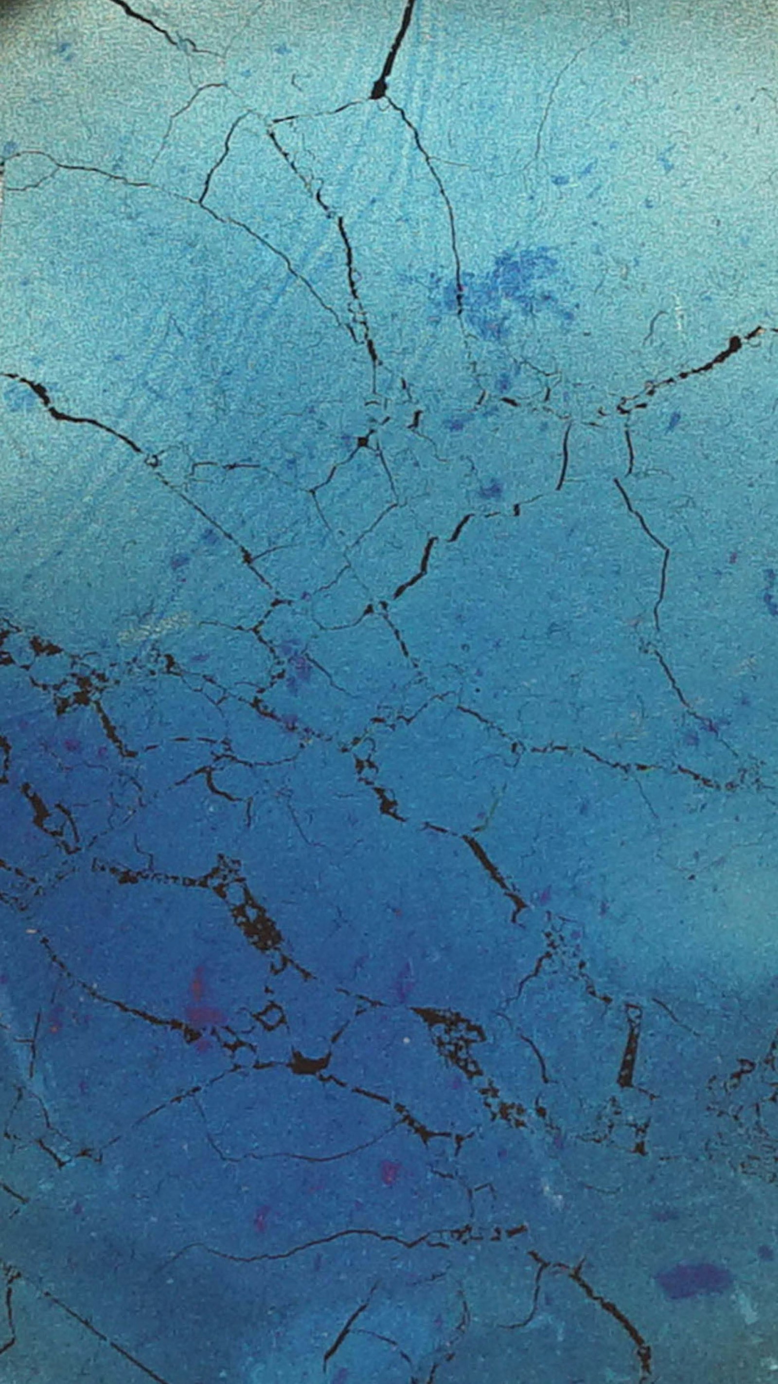 Ecology of Colour - Structural Colour Detail