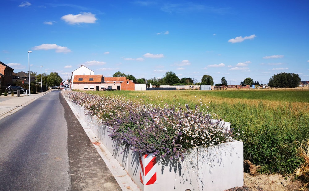 Ledegem becomes Leaudegem!