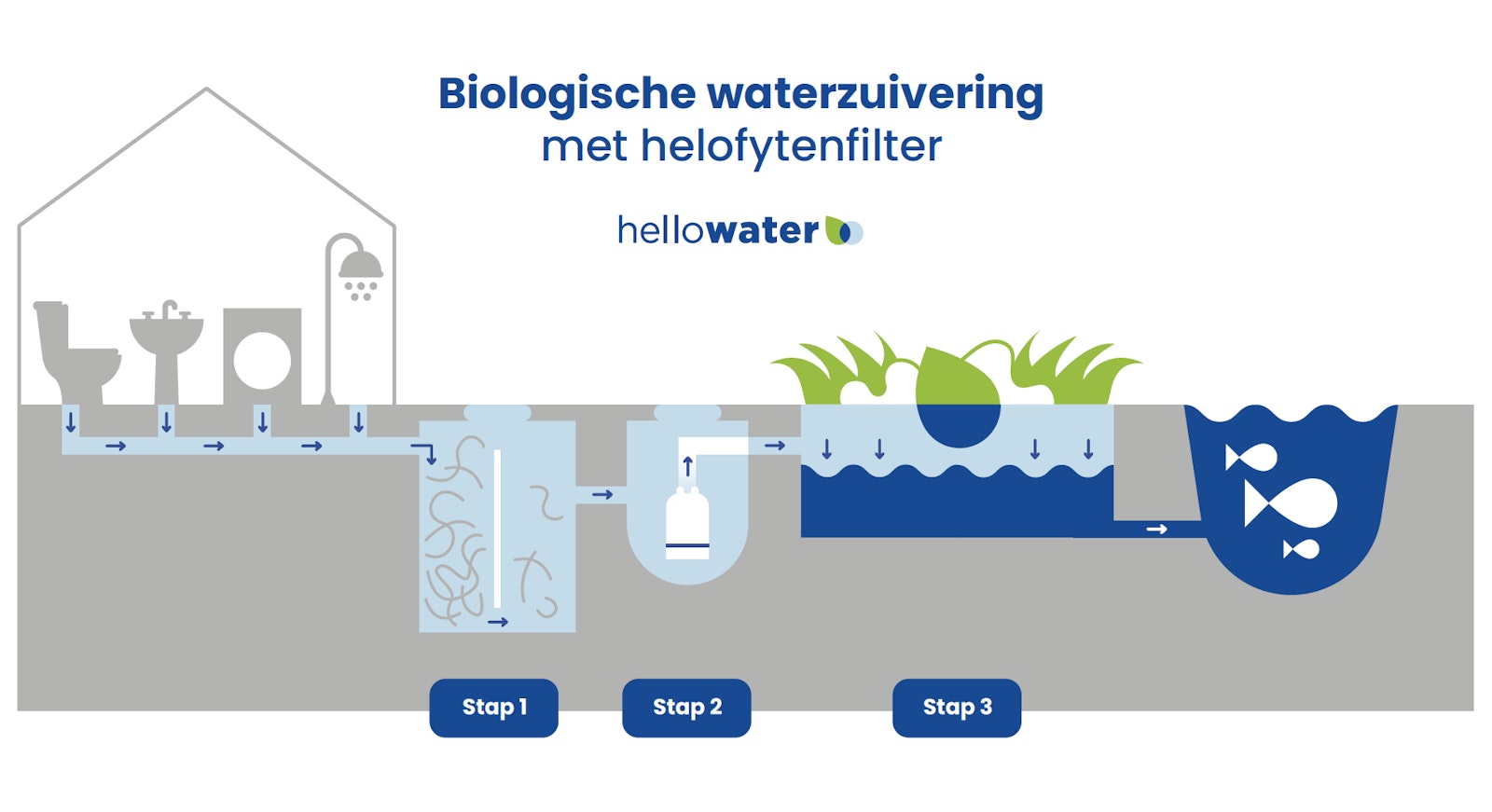 Biologische waterzuivering met helofytenfilter