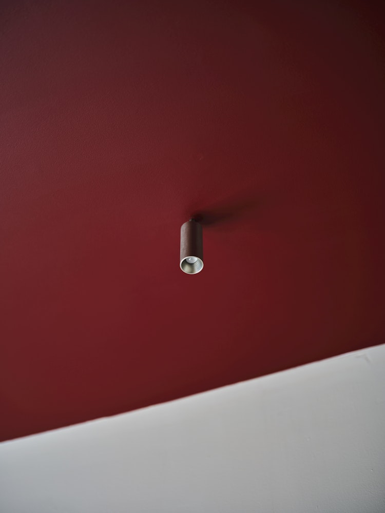 Acrojack Mini Long, Graine Studio © Connor Rancan, NY