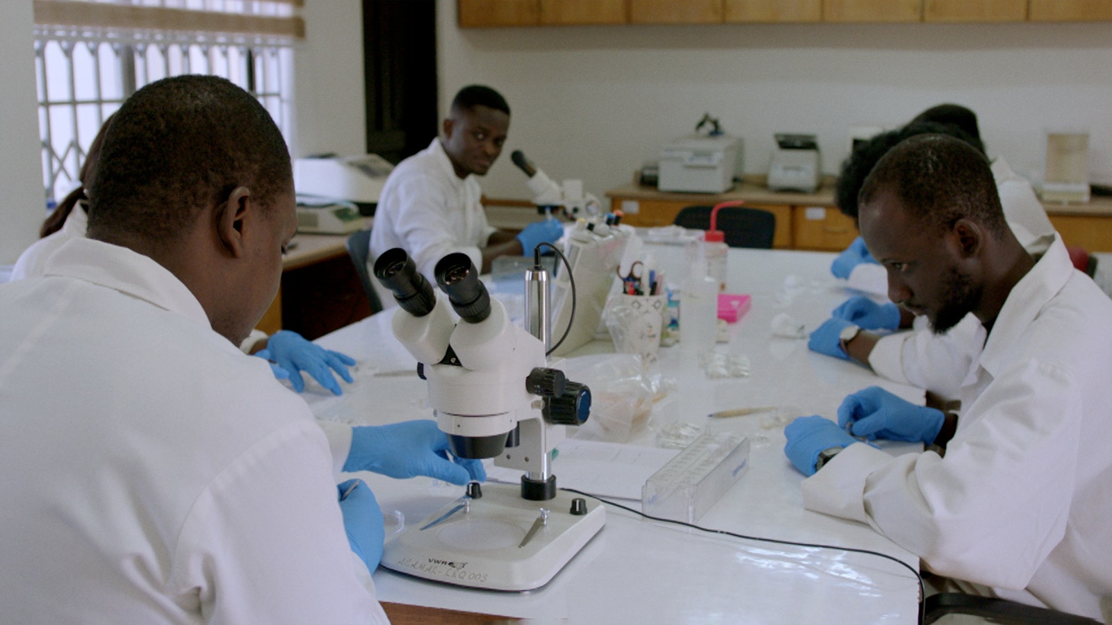 A group of African scientists stands around a lab's central white table, upon which they analyse mosquitos with microscopes.