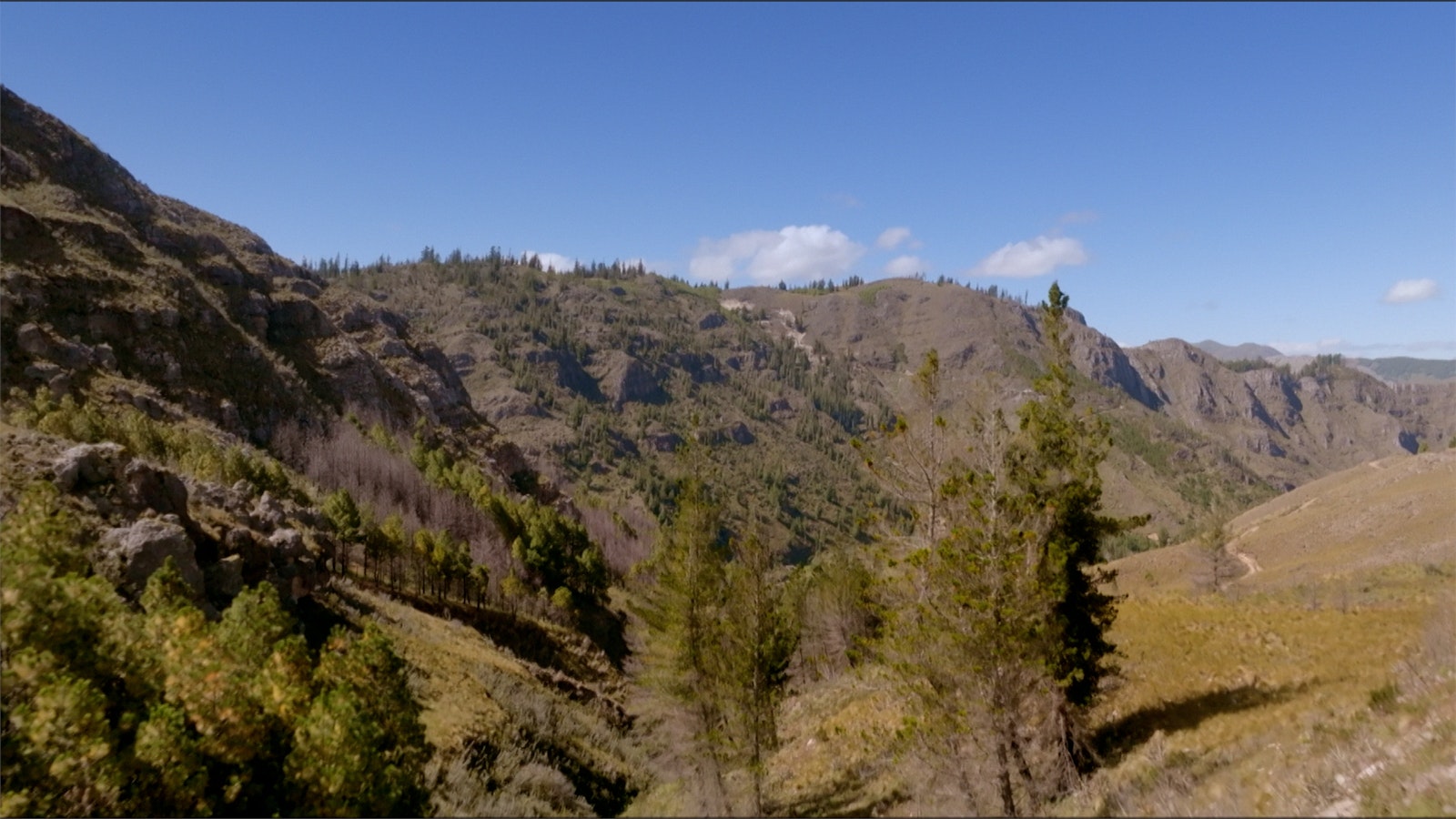 A panoramic view of the Andes mountains showing the yellow grass line break into grey rocks with blue sky above.