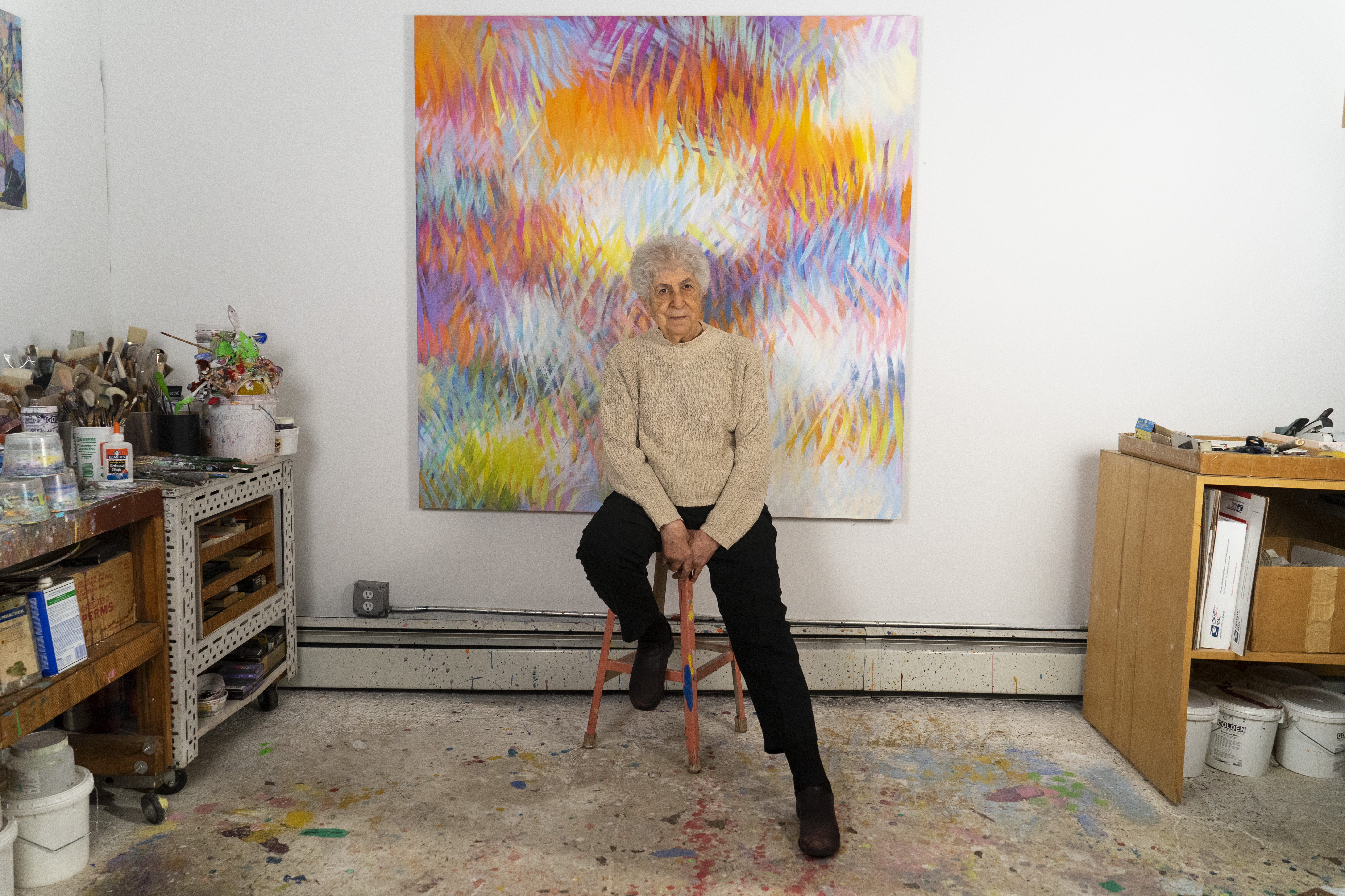 Samia Halaby - Biography | Ayyam Gallery