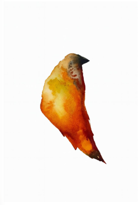 Bird Land #1