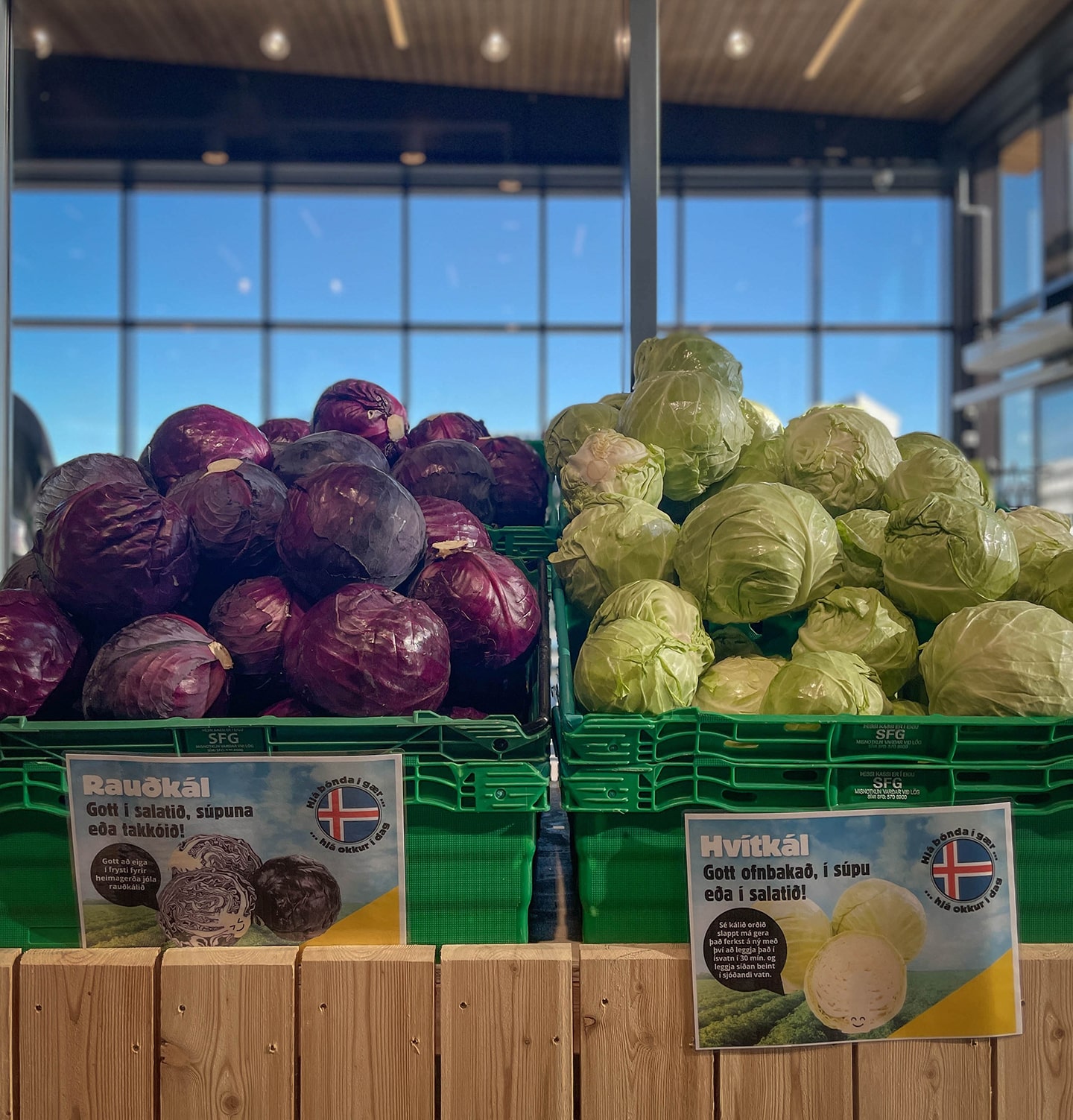 Hvítkál og rauðkál