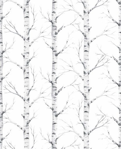 Birch