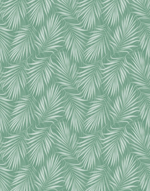 Areca